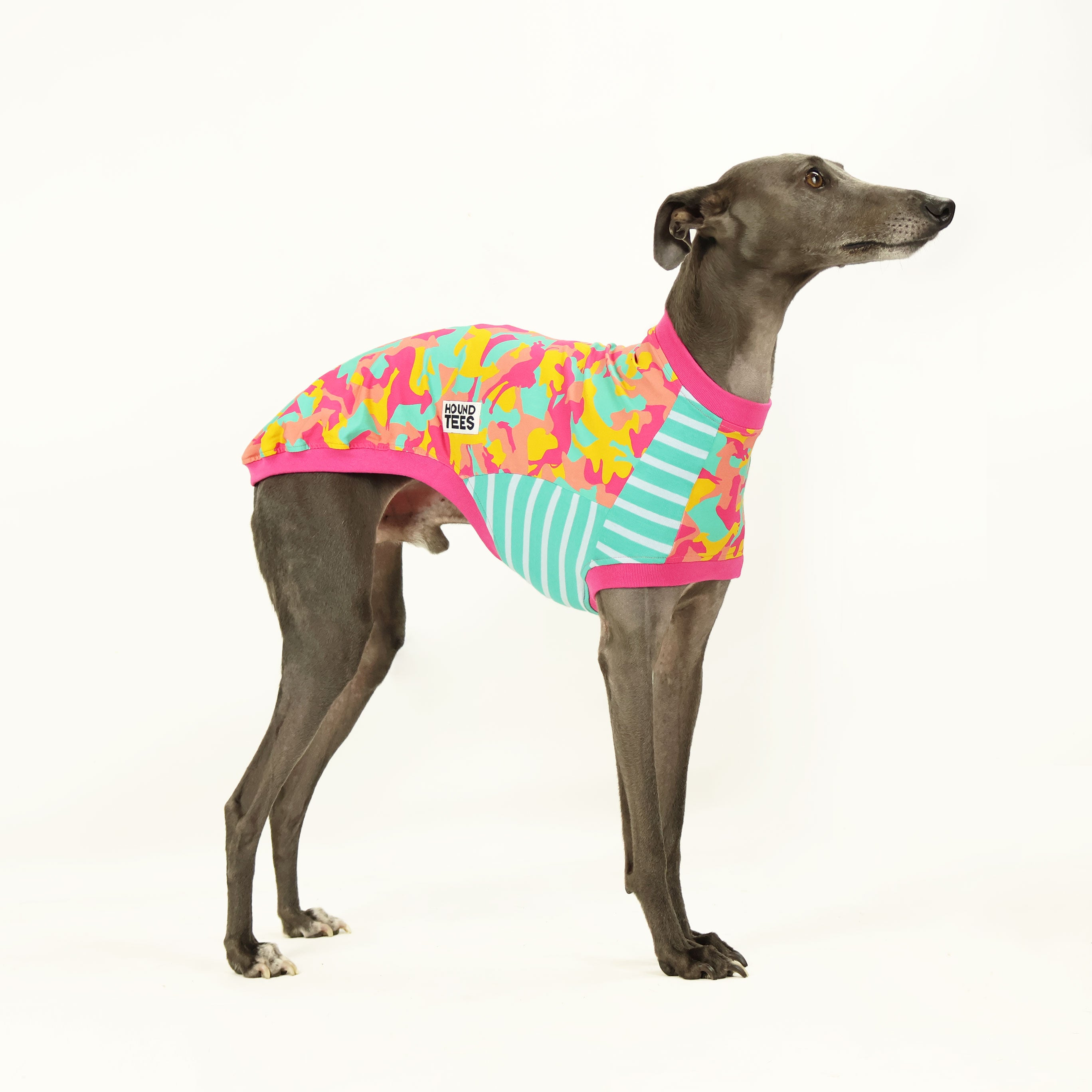 Houndini Candy Whippet Sleeveless Dog T-Shirt for Small & Medium Breeds - Perfect for Summer Walks & Dog Park Outings