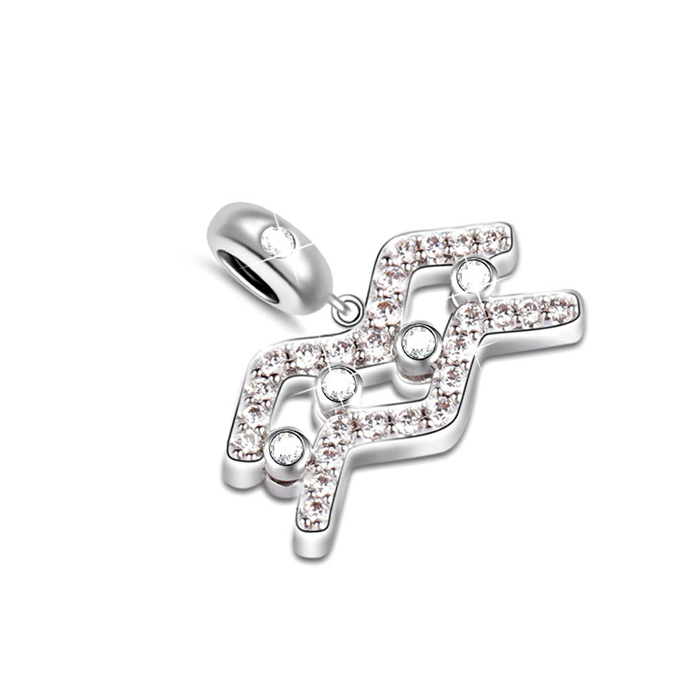 GNOCE Aquarius Zodiac Pendant - Sterling Silver 'My Love, My Life' Charm with Cubic Zirconia for Women | Perfect for Bracelets & Necklaces | Birthday Gift, Anniversary Present, Zodiac Jewelry