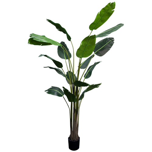 Premium 8ft Artificial Strelitzia Nicolai (White Bird of Paradise) Potted Plant - Realistic Fake Tropical Tree for Home Decor, Office, Hotel Lobby & Indoor Landscaping