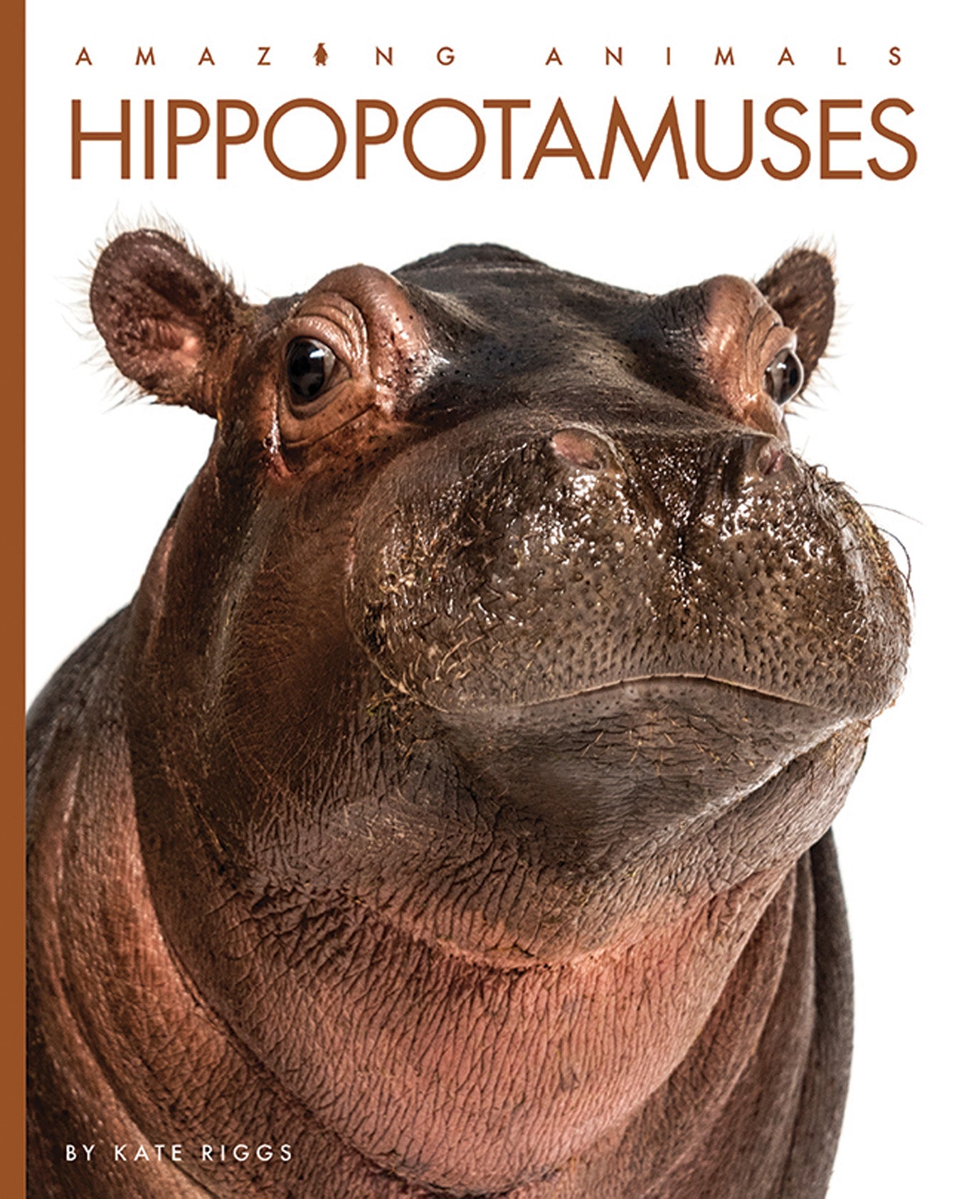 Hippopotamuses Book - 9781640265135 - Learn About Hippos, Wildlife, and Nature - Perfect for Kids, Students, and Animal Lovers