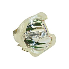Precision Replacement Bulb for Projector & TV - Compatible with LAMP 51384-BOO - High-Performance Projector Lamp for Home Theater, Office Presentations & Classroom Use