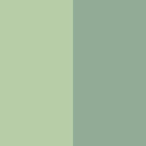 Sage/Leaf