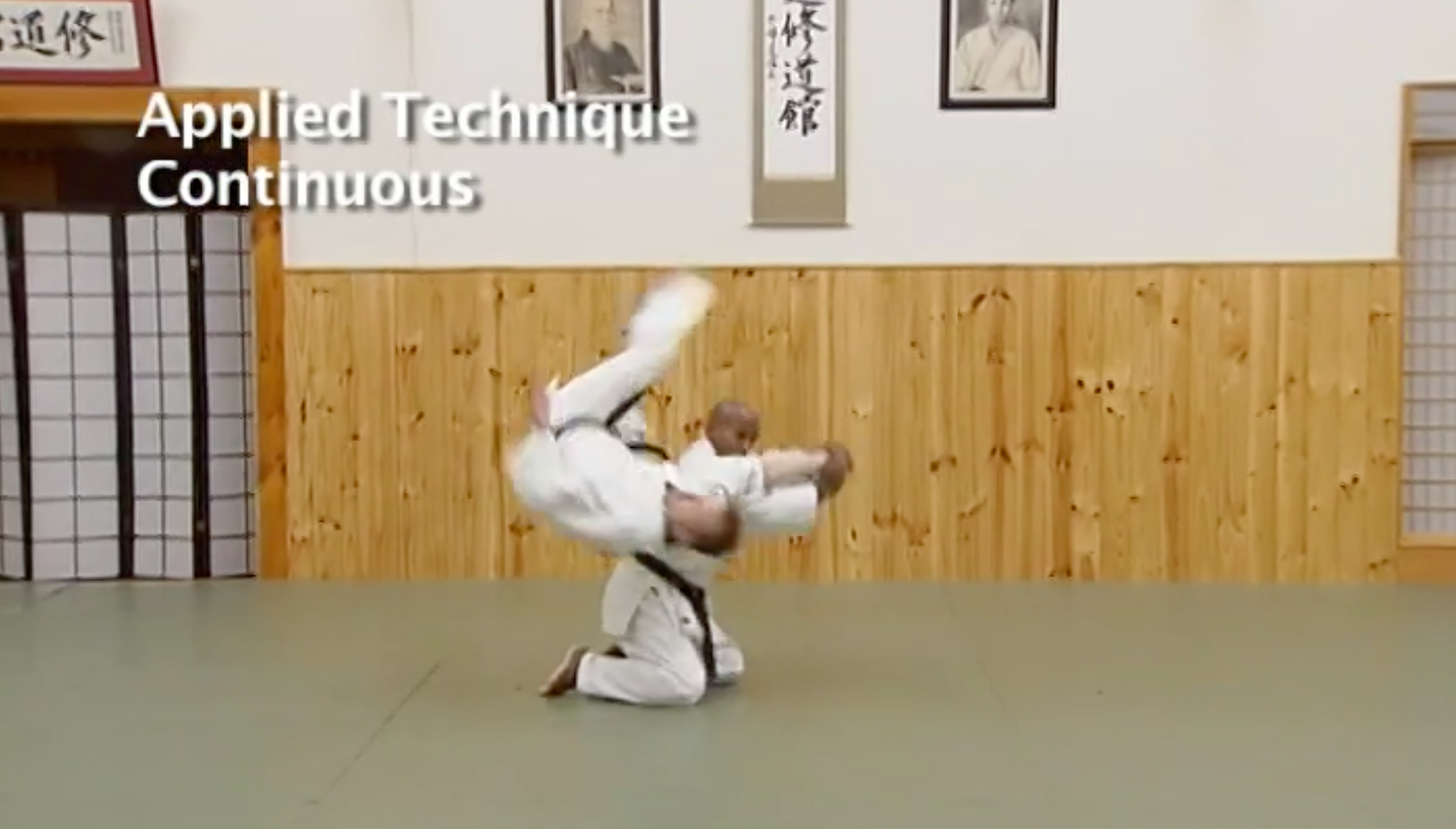 Aikido Training & Philosophy DVD by Joe Thambu - Learn Martial Arts Techniques for Self-Defense & Personal Growth