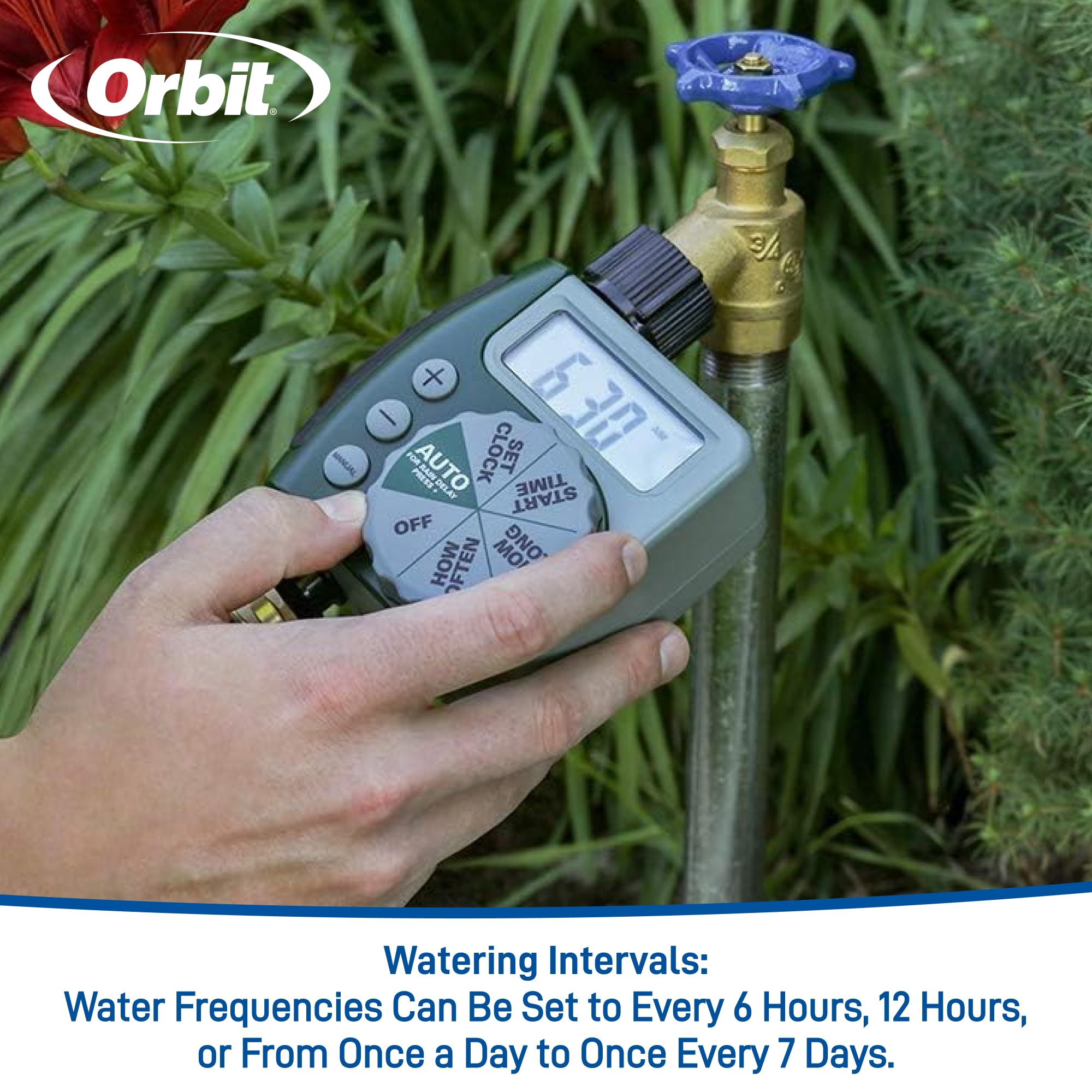Orbit 62061Z 1-Outlet Programmable Hose Faucet Timer - Smart Watering Controller for Garden, Lawn & Outdoor Plants - Automatic Irrigation System for Sprinklers & Drip Systems
