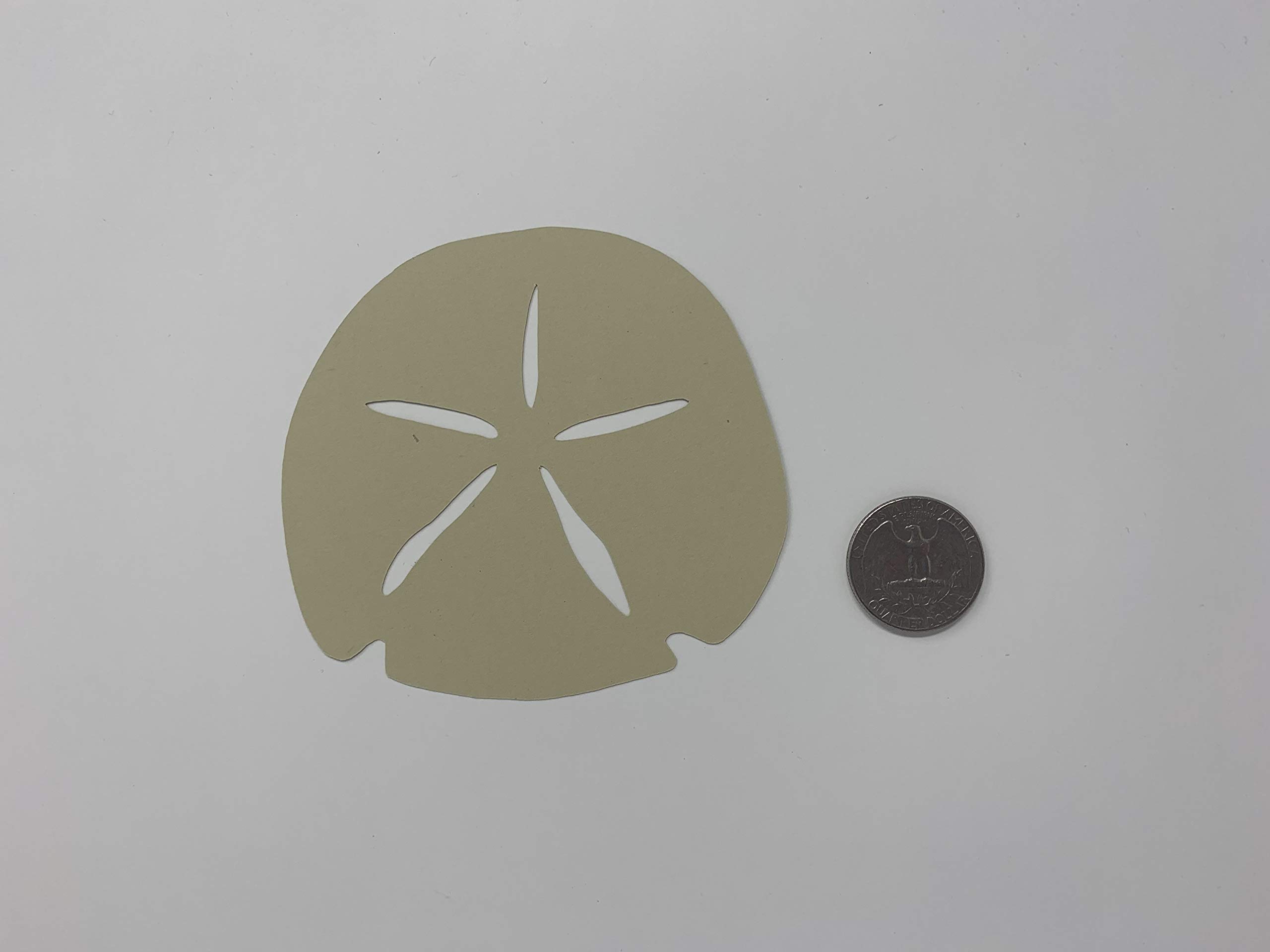 Sand Dollar Die Cuts - 25pcs Ocean-Themed Party Decorations for Beach Birthday, Classroom & Nautical Events - Perfect for Coastal Weddings, Baby Showers & Summer Decor
