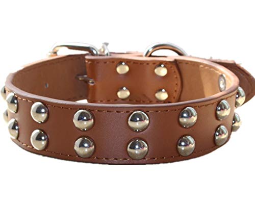Brown-2