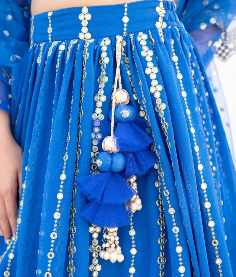 Pre Order: Blue Embroidered Lehenga Set for Women | Indian Traditional Bridal Wear | Wedding, Festival & Party Outfit