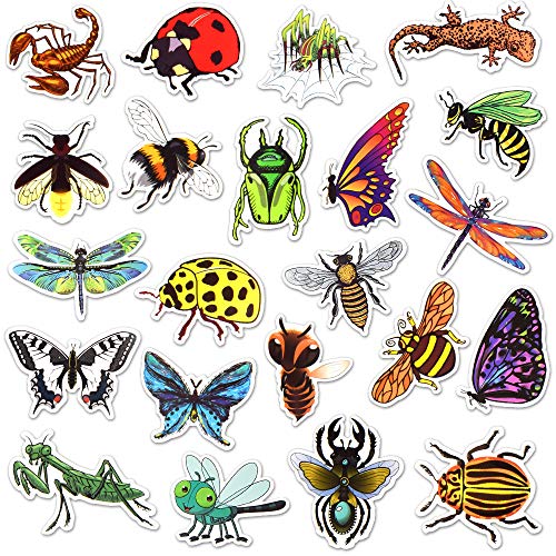Insect Sticker