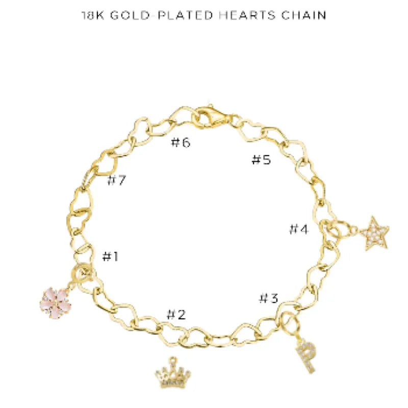 Elegant Charm Bracelet with Assorted Charms - Perfect for Gifts, Parties & Everyday Wear | $38.00
