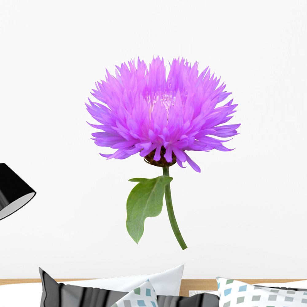 Wallmonkeys Milk Thistle (Cirsium) Medical Wall Decal - Peel & Stick Floral Wall Art Graphic - 24