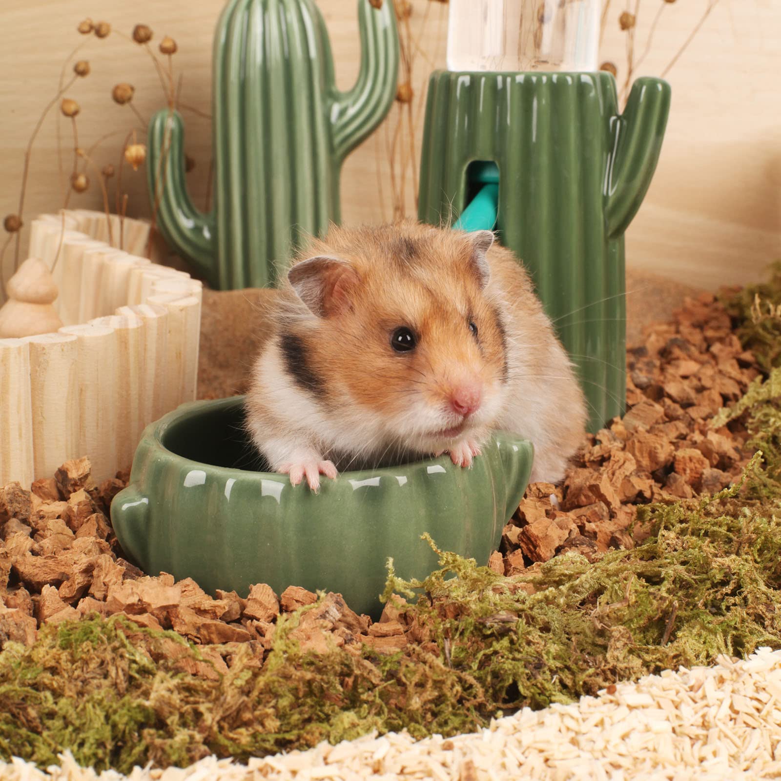 BUCATSTATE 2-Pack Ceramic Hamster Food Bowl - Waterproof Small Animal Feeding Dish for Hamsters, Guinea Pigs, Birds & Chipmunks | Durable Cactus Design Pet Bowl for Cage, Terrarium & Outdoor Use