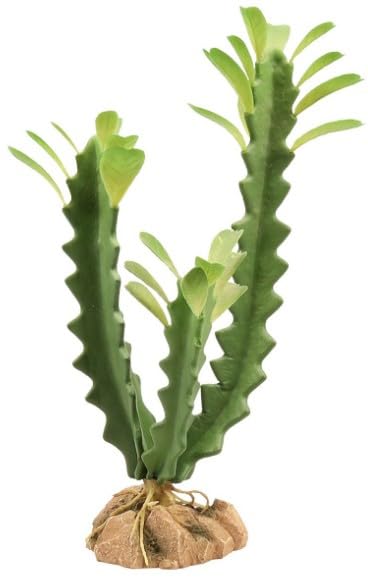 Zoo Med Euphorbia Desert Flora Terrarium Plant - Realistic Artificial Succulent for Reptile Habitats, Desert Terrarium Decor, and Home Office Greenery