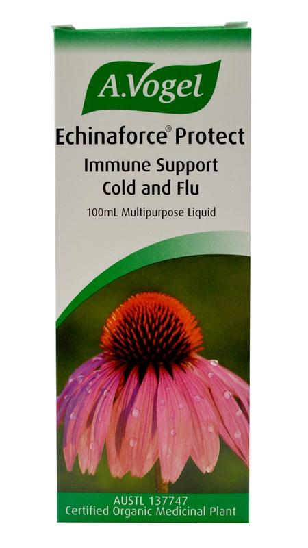 AVOG ECHINAFORCE PROTECT 100ml Immune Support Supplement - Boost Your Immunity for Cold & Flu Season | Travel & Daily Wellness Essential