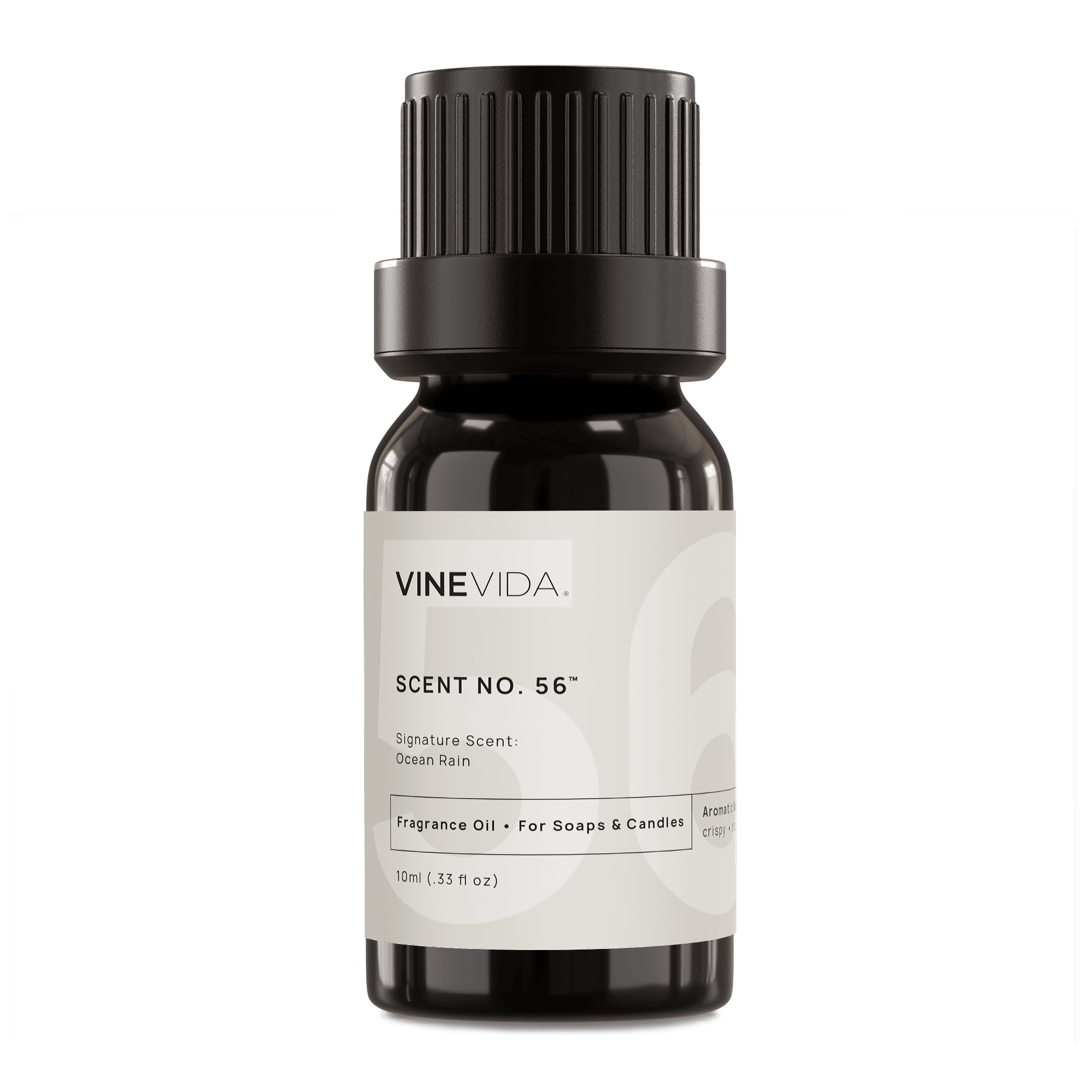 Premium NO. 56 Fragrance Oil for Soaps & Candles - Ocean Rain Scent | Long-Lasting Aromatherapy Essential Oil for Home, Spa & DIY Crafts