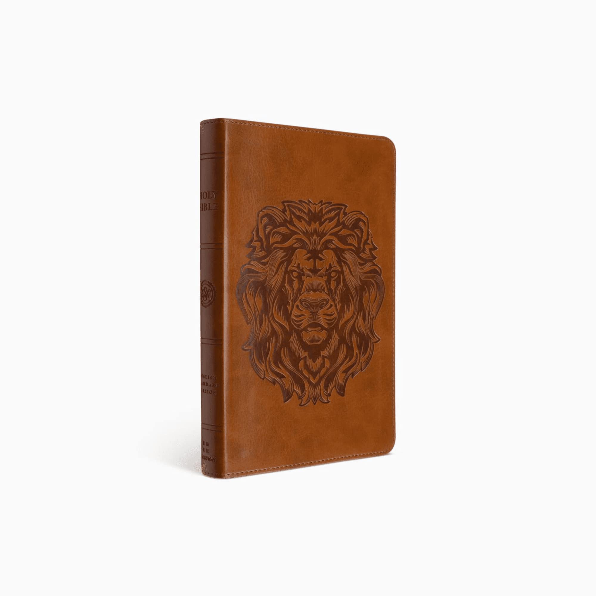 Personalized ESV Thinline Bible - Custom Name Gift for Baptism & Celebrations