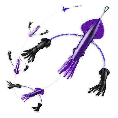 Purple & Black