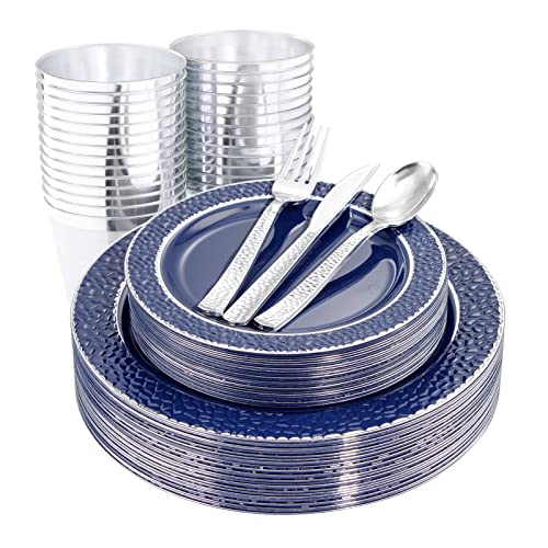 Blue/Silver