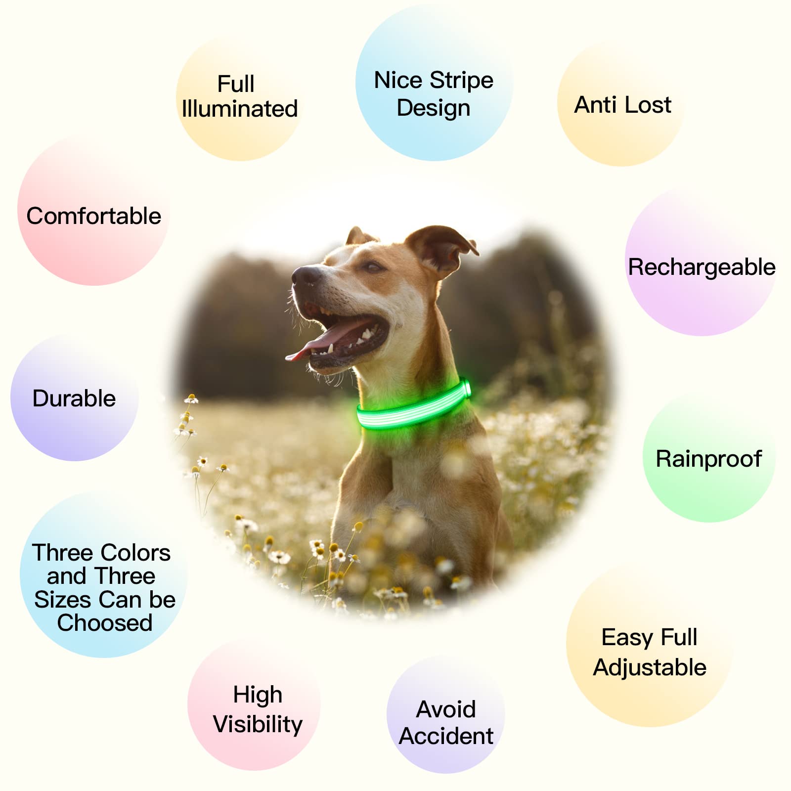 YFbrite USB Rechargeable LED Dog Collar - Super Bright Adjustable Glowing Pet Collar for Night Walking, Safety & Visibility | Green Small Size | Perfect for Evening Walks, Jogging & Outdoor Adventures
