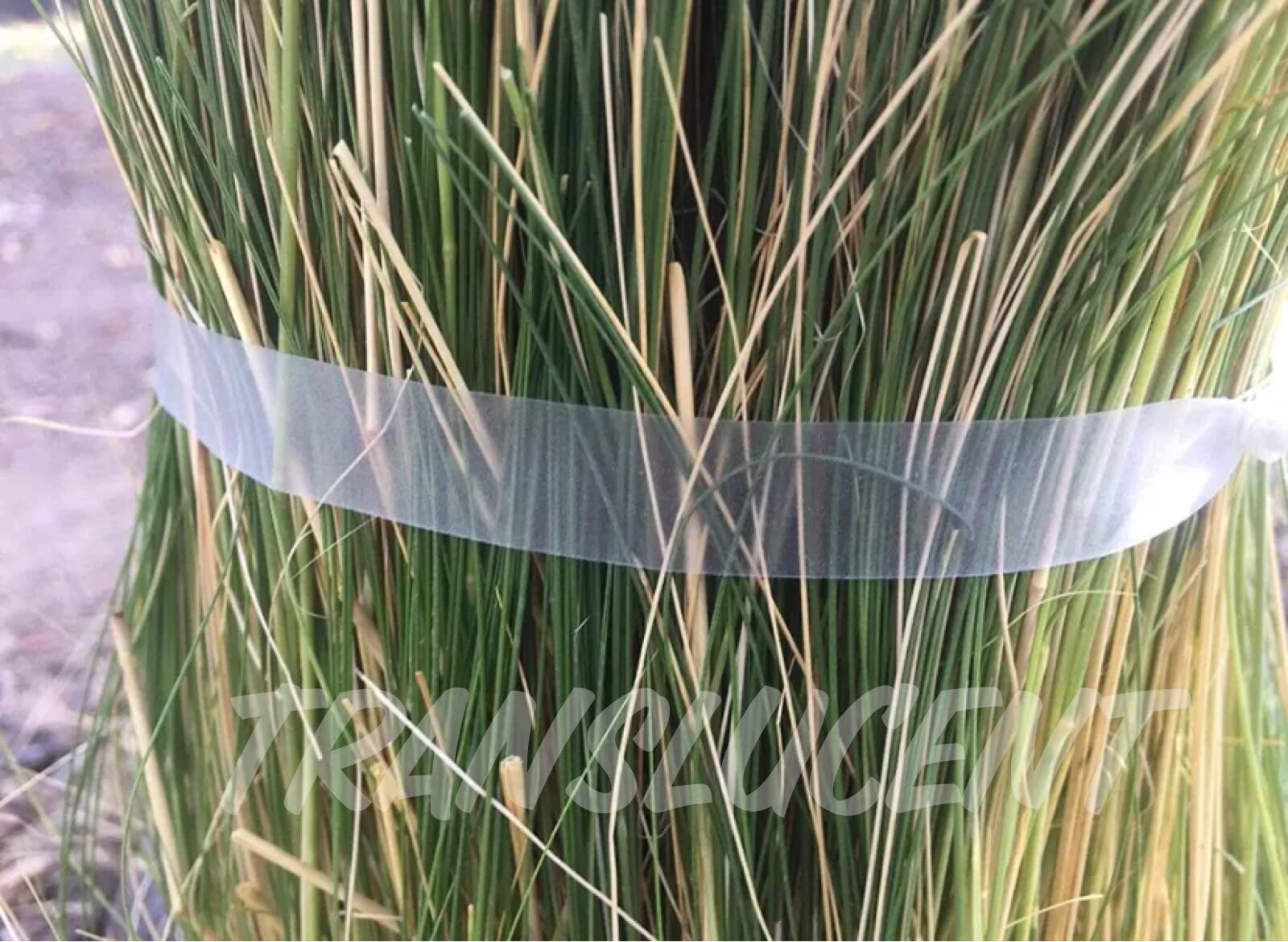 Clear Plant Tie Tape - 300 Ft per Roll - Gentle Plant Support for Vines, Tomatoes & Flowers - Pack of 2 Rolls - Garden Stretch Tape - Translucent & Weatherproof - Perfect for Indoor/Outdoor Gardening & Greenhouse Use