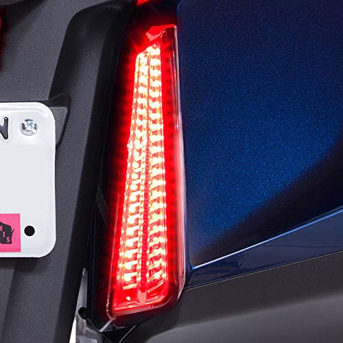 Goldstrike LED Filler Panel Lights for Honda Gold Wing Chrome - Motorcycle Accent Lighting for Night Riding & Customization