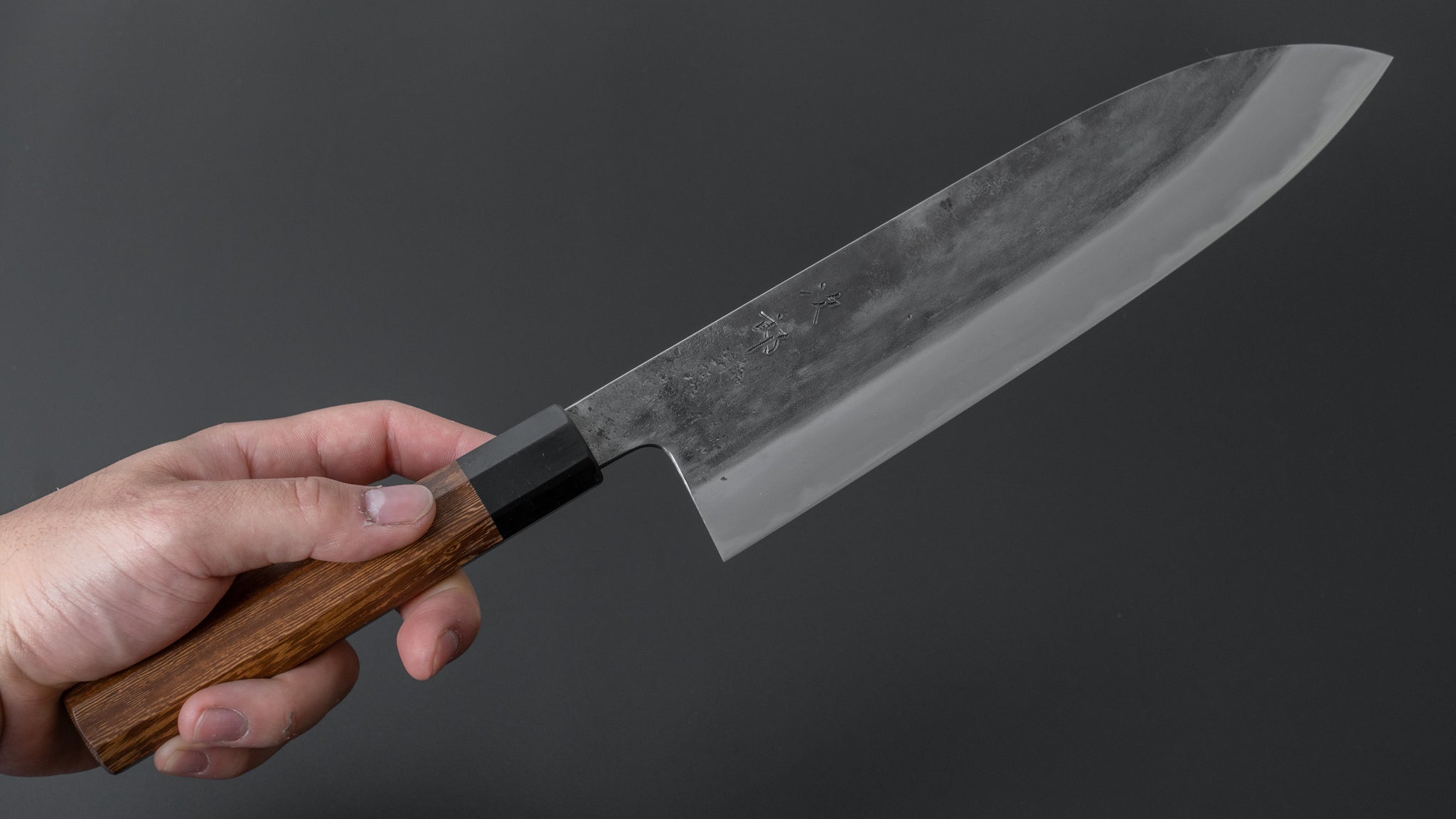 Premium Jiro Tsuchime Wa Gyuto 240mm Japanese Chef Knife with Taihei Tagayasan Handle - Perfect for Sushi, Meat Cutting & Professional Kitchen Use (#299)