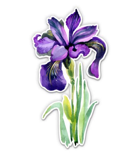 Purple Iris Flower Vinyl Sticker (3 Inch) - Waterproof Decal for Car, Laptop, Water Bottle, Phone - Perfect for DIY Decor, Personalizing Devices & Gifts