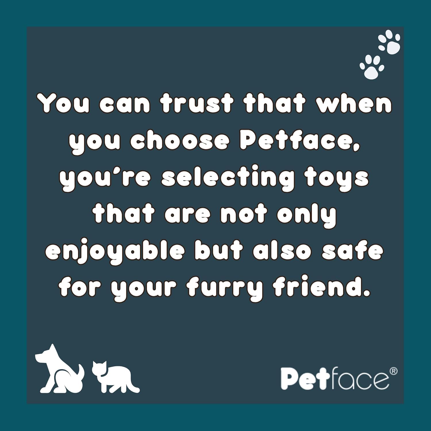 Petface Super Tennis Balls for Dogs - Durable Chew-Proof Fetch Toy for Large & Small Breeds - Perfect for Outdoor Play, Training & Exercise