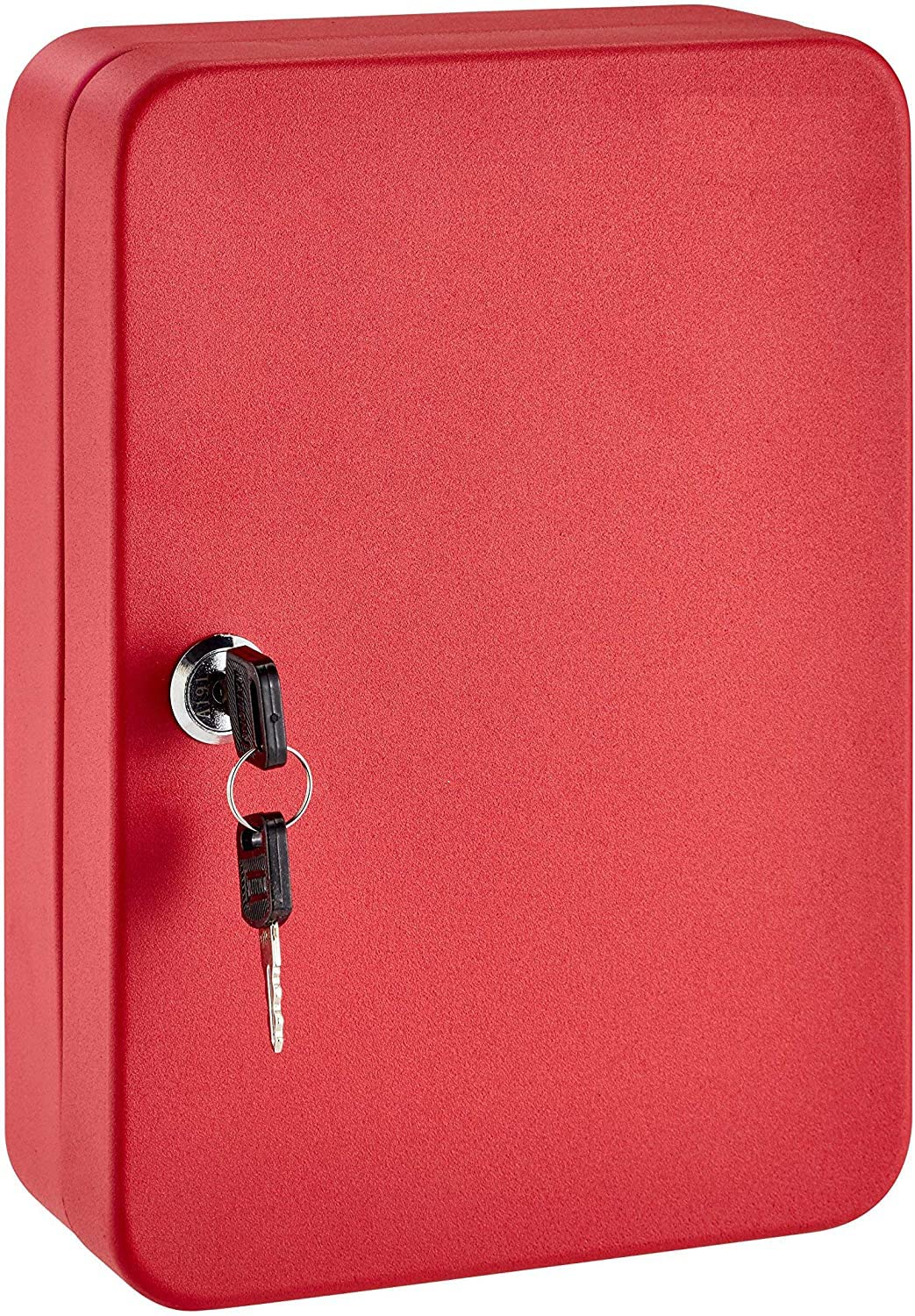 48-Key Wall Mount Steel Key Storage Cabinet with Lock - Secure Metal Key Organizer Box (10