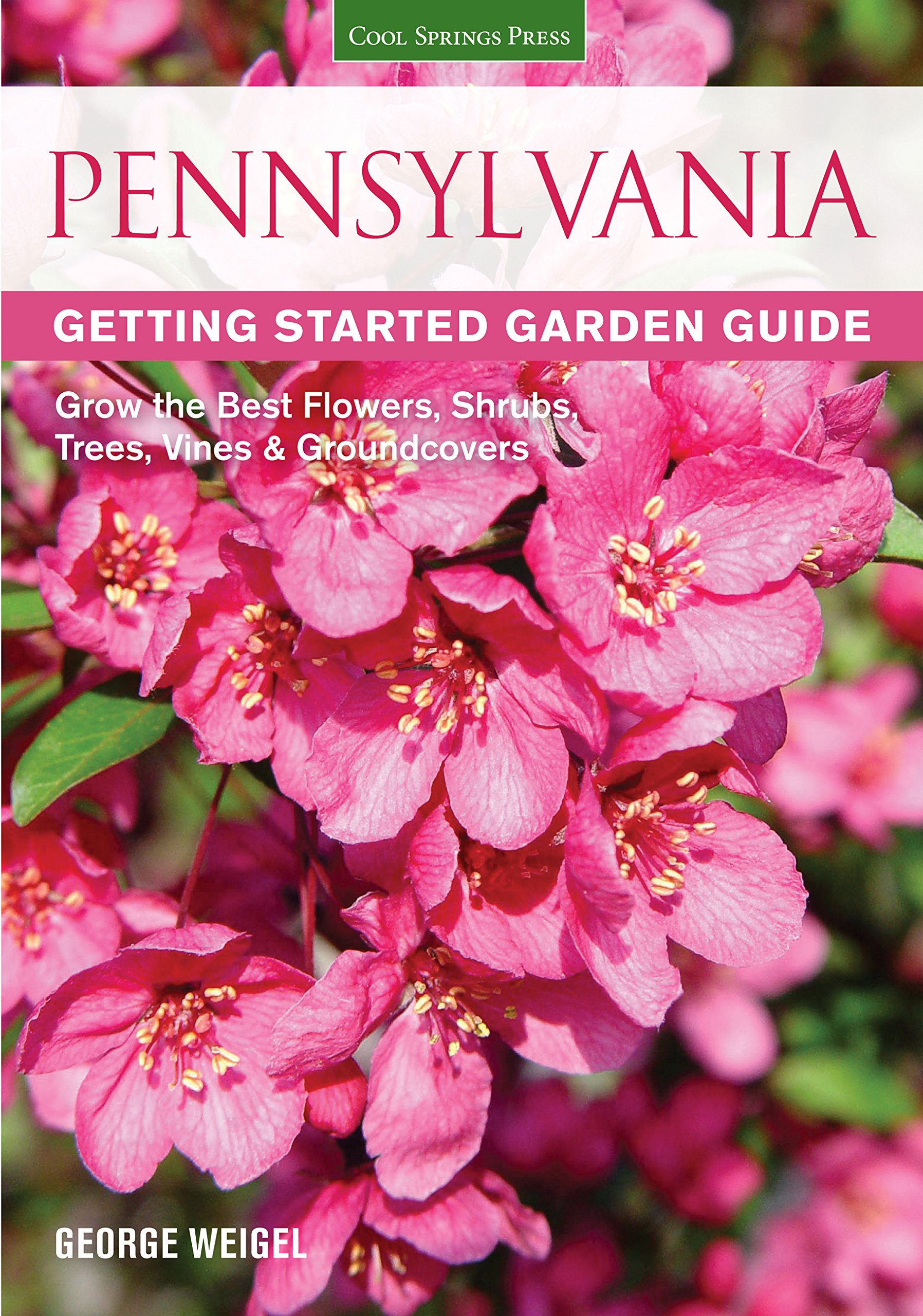 Pennsylvania Gardening Guide: Best Flowers, Shrubs, Trees, Vines & Groundcovers for Beginners | Perfect for Home Gardens & Landscaping Projects