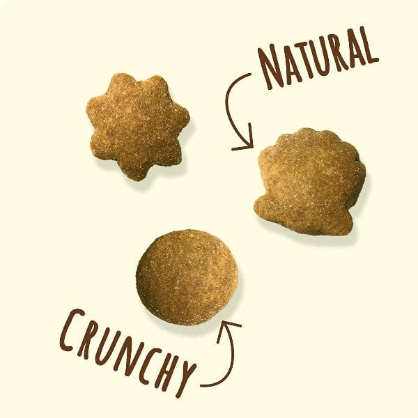 Friskies Party Mix Naturals Gourmet Cat Treats - Healthy Crunchy Snacks for Cats - Perfect for Training, Rewards & Bonding with Your Feline Friend