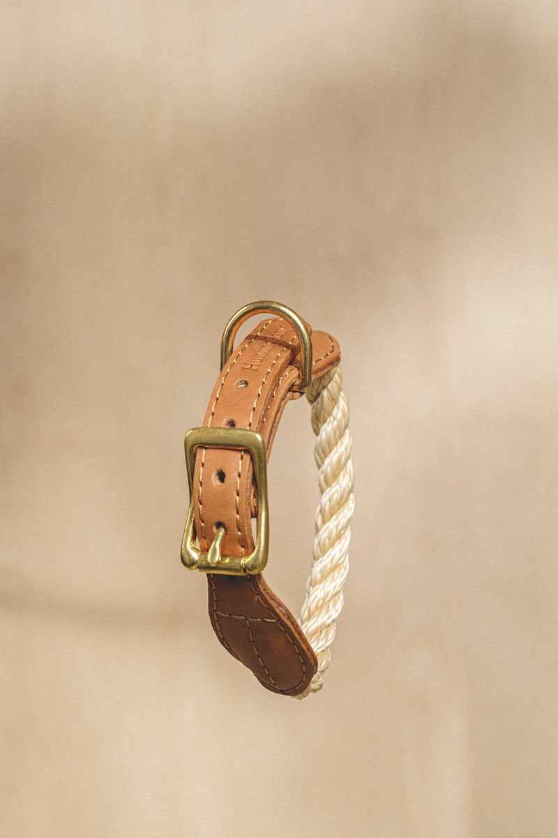 Premium Dog Walking Kit - Adjustable Country Leash & Soft Ginger Collar for Small & Medium Dogs - Perfect for Daily Walks, Hiking & Outdoor Adventures