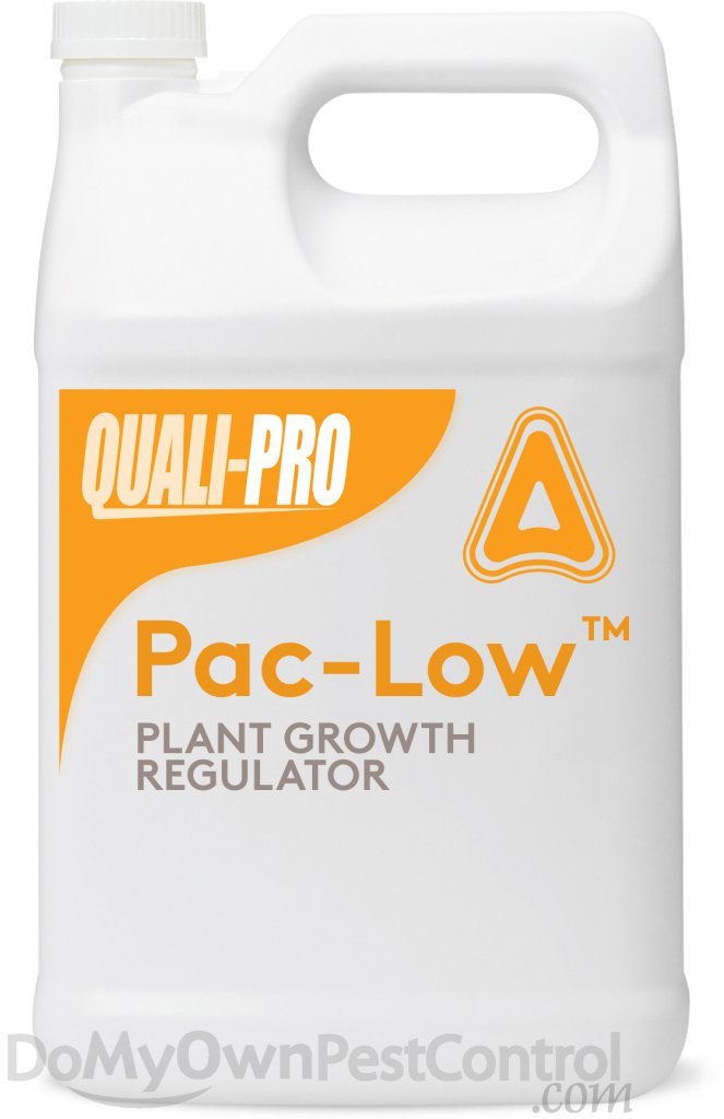 **PacLow Plant Growth Regulator 128oz (1 Gallon) – Controls Plant Height & Promotes Bushier Growth for Lawns, Gardens & Greenhouses**