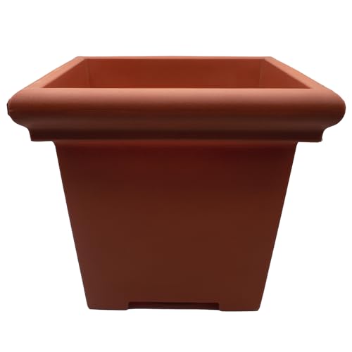 Clay