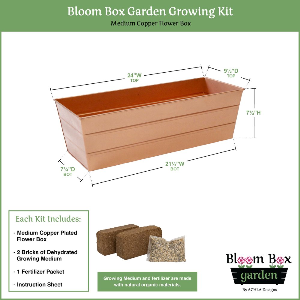 Bloom Box Garden Growing Kit - Medium Copper Planter for Indoor & Outdoor Plants | Perfect for Home Decor, Balcony Gardens, and Urban Farming