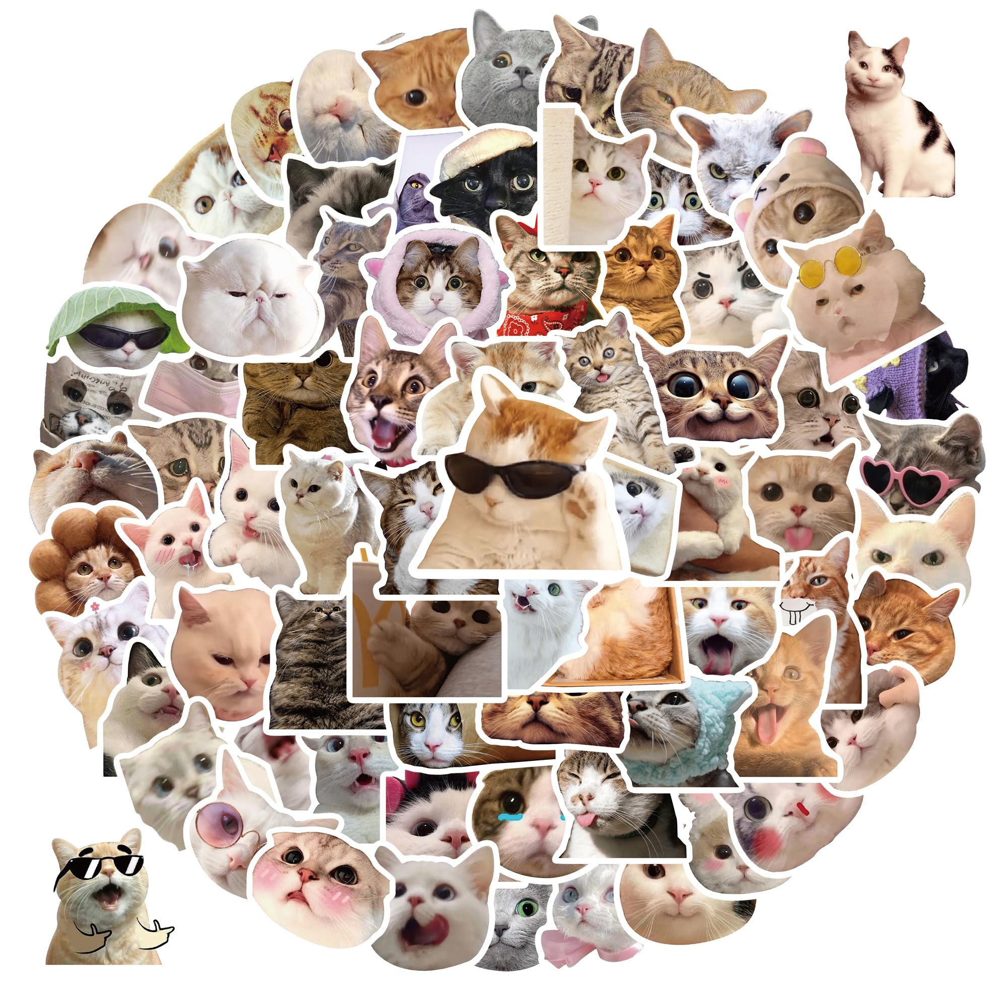 100 Pcs Funny Cat Meme Stickers - Cute Vinyl Waterproof Stickers for Adults & Teens - Perfect for Laptops, Water Bottles, Notebooks & DIY Crafts