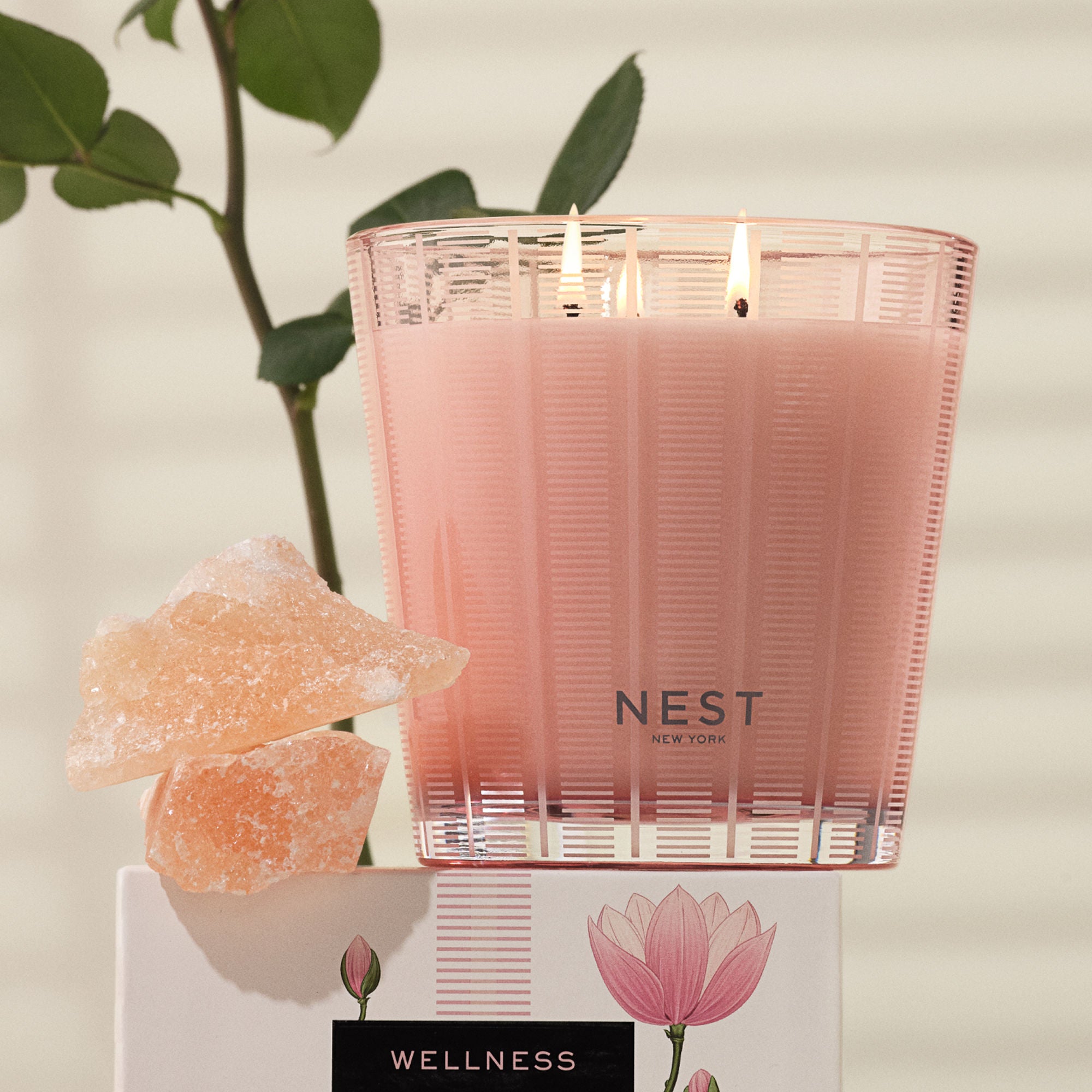 Himalayan Salt & Rosewater Scented Candle - Natural Aromatherapy for Relaxation, Meditation & Home Decor - Perfect for Spa, Yoga & Bedroom Ambiance