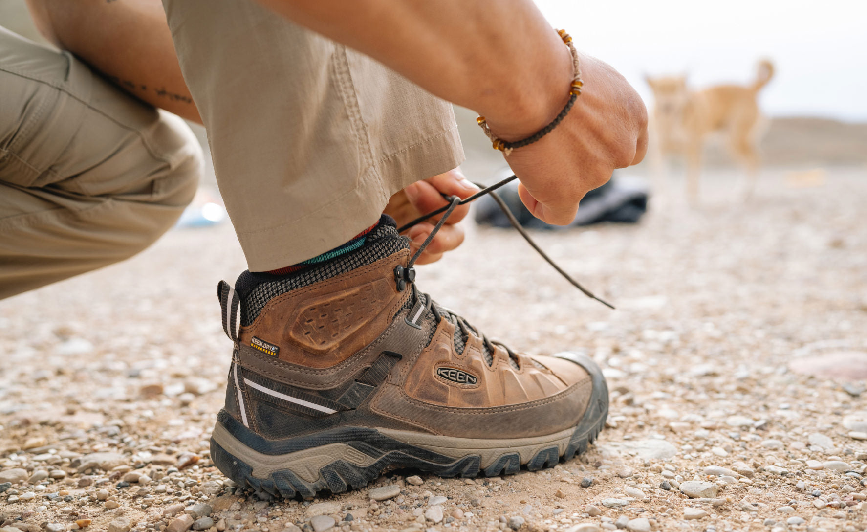 Men's KEEN Targhee III Waterproof Hiking Boots - Wide Mid Cut for Comfort & Support | Black Olive/Golden Brown | Perfect for Outdoor Adventures & Trail Hiking