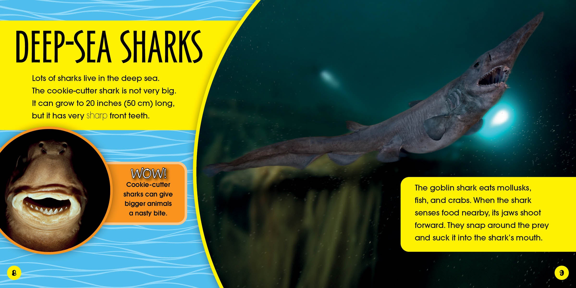 Deep Sea Creatures - Who Lives Here? Explore Ocean Life for Kids & Marine Enthusiasts | Perfect for Educational Play & Aquarium Visits