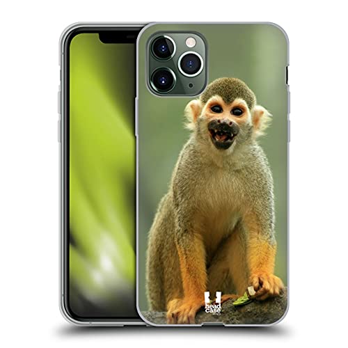 Common Squirrel Monkey