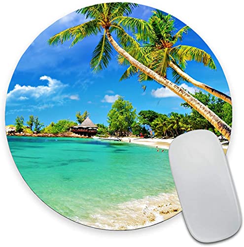 Beach Coconut Trees