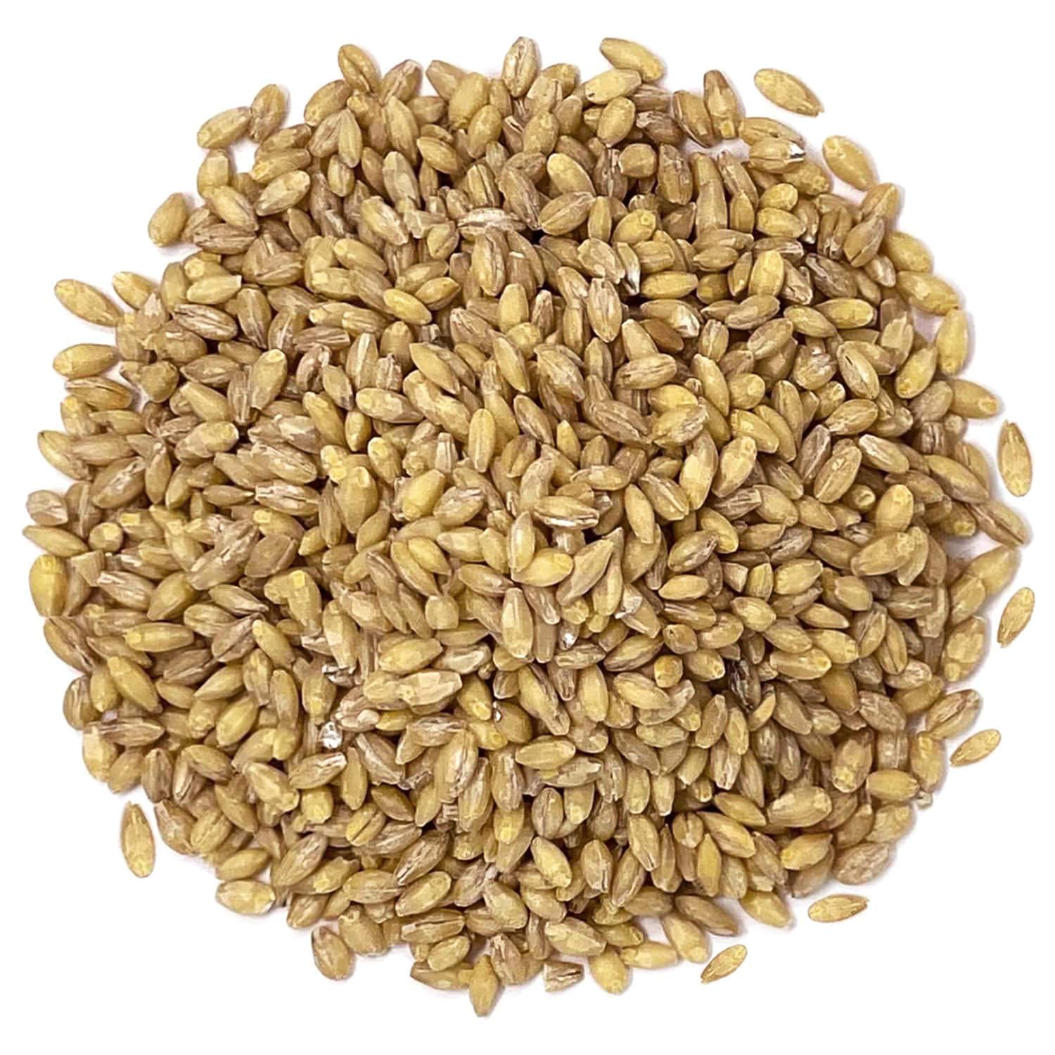 Organic Hulled Barley 25 lbs - Non-GMO, 100% Whole Grain, Kosher & Vegan Bulk Barley - High Fiber Superfood for Home Brewing, Grinding, Chili, Hot Cereal, Salads & Soup - Made in USA - Perfect for Healthy Cooking, Baking & Meal Prep
