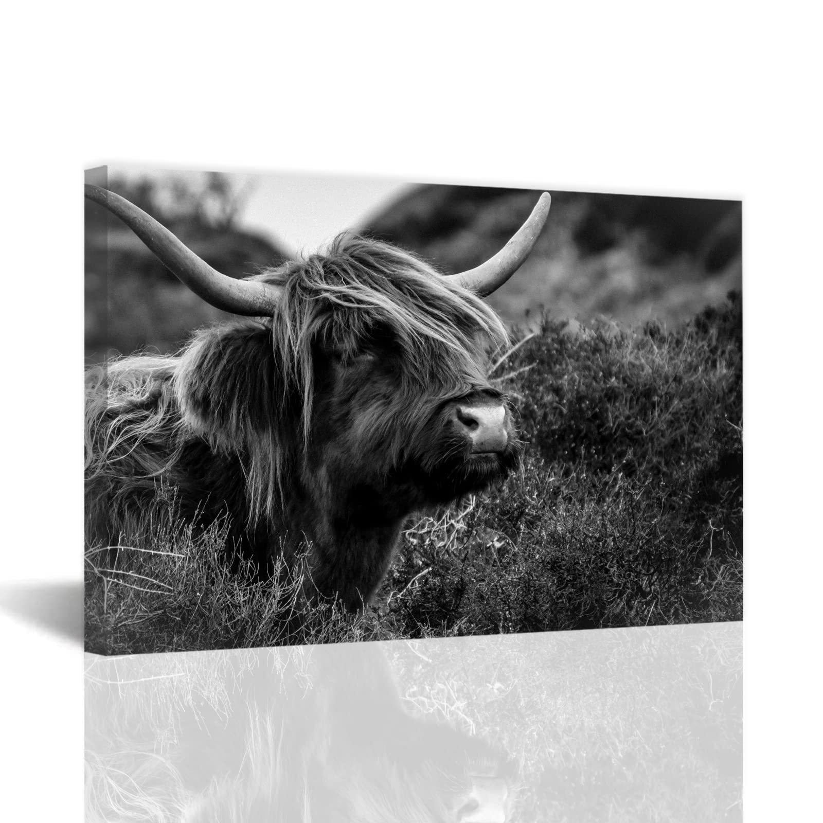 Highland Cow Canvas Wall Art - Black & White Animal Painting, Framed Highland Cattle Print (28x42 Inches, 70x105cm) for Rustic Bathroom, Farmhouse & Living Room Decor | Perfect Gift for Cow Lovers