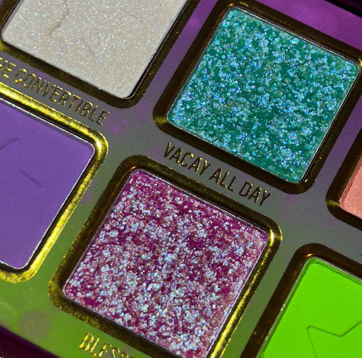 Nueva Vida x Steff's Beauty Stash Eyeshadow Palette - 18 Highly Pigmented Matte & Shimmer Eyeshadows for Professional Makeup | Perfect for Day to Night Looks, Bridal Makeup & Special Occasions