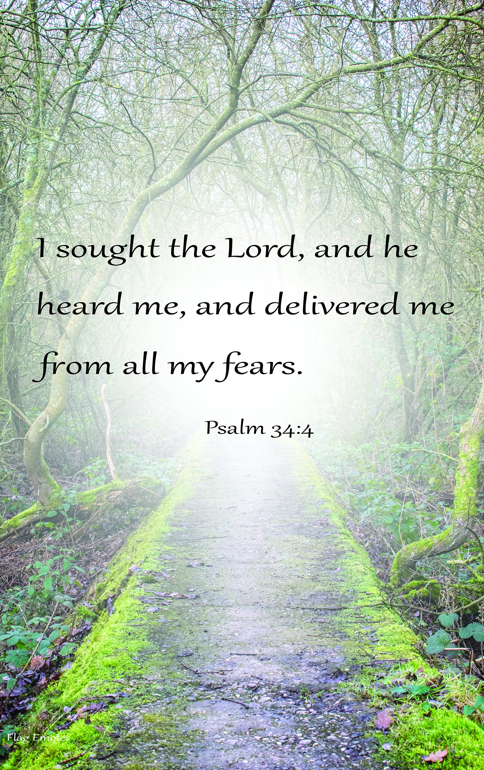 Double Sided Garden Flag with Psalm 34:4 - Perfect for Christian Home Decor