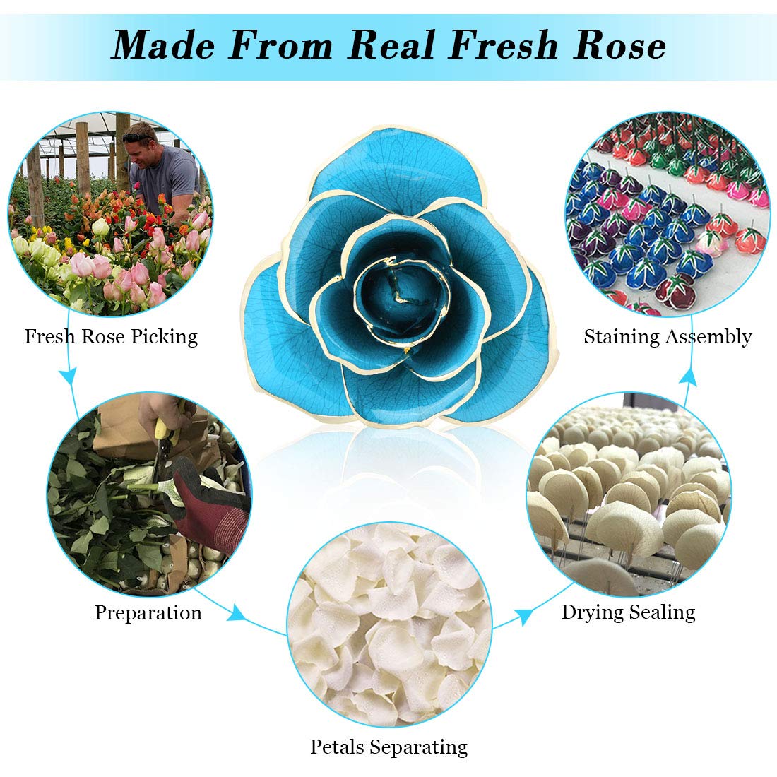 24K Gold Dipped Rose Gift for Mom, Wife, Girlfriend - Romantic Proposal Present for Birthday, Christmas, Valentine's Day & Anniversary - Light Blue Rose with Display Stand - Perfect for Special Occasions, Home Decor & Surprise Proposals