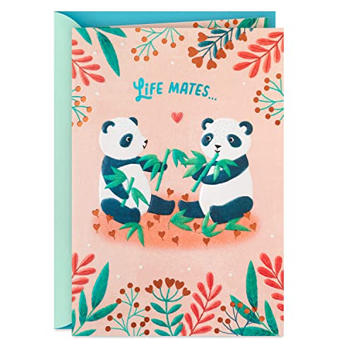 Soul Mates, Pandas