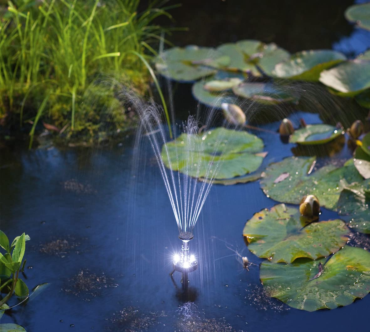ASC Solar Water Pump Kit - 1.6W Battery Powered with Timer & LED Lights for Fountains, Pools, and Ponds | Perfect for Garden Decor, Backyard Water Features, and Outdoor Aquatic Displays