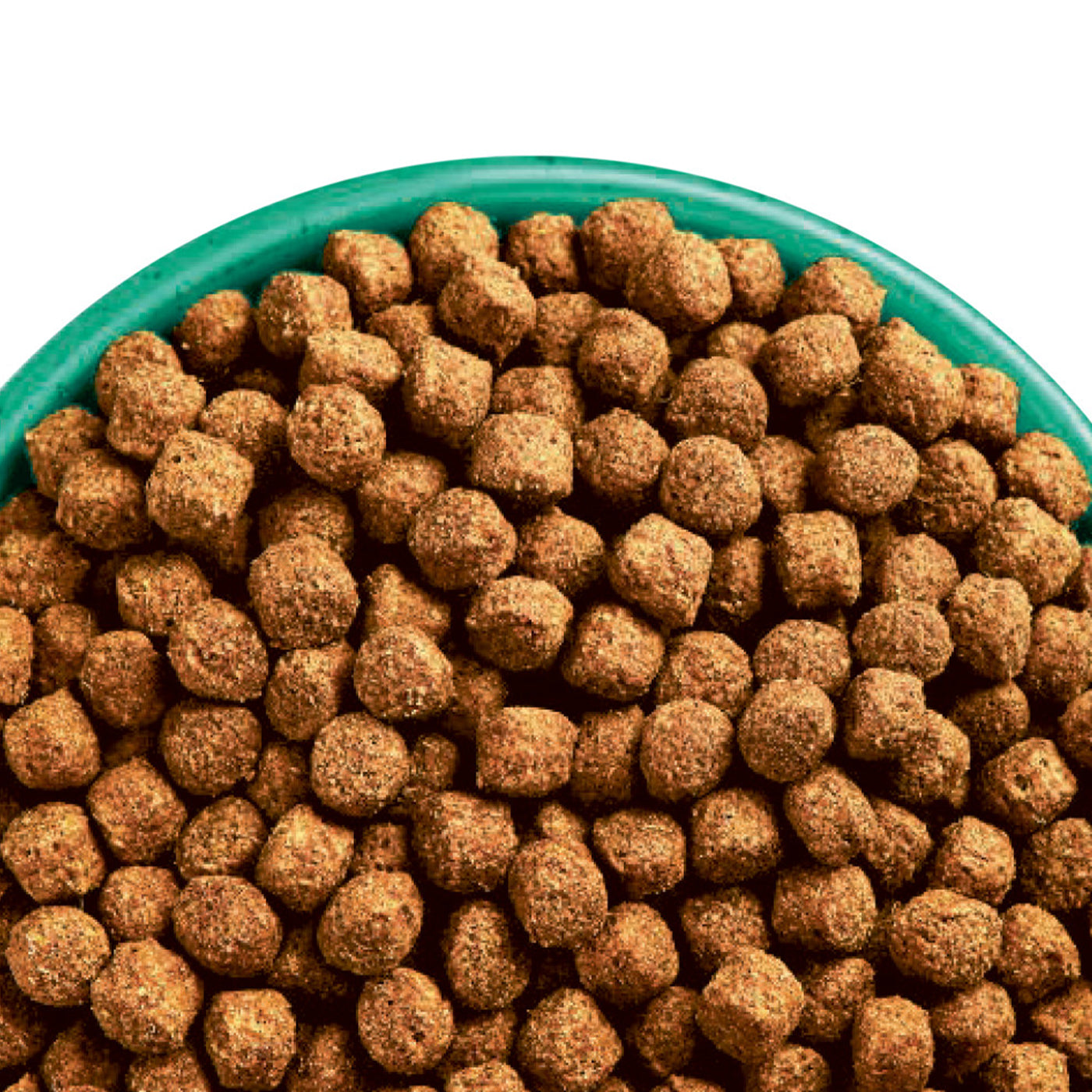 James Wellbeloved Turkey & Rice Junior Dog Food 2KG - Premium Dry Puppy Food for Small & Medium Breeds - Ideal for Growing Dogs, Training Treats & Daily Nutrition