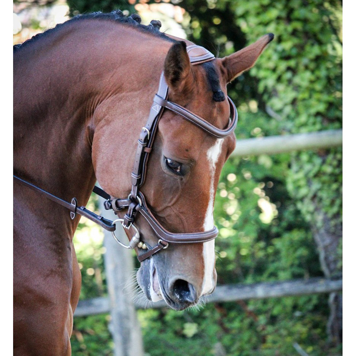 Jump'in New York Bridle - Premium Leather Horse Bridle for Equestrian Riding | One Collection | Perfect for Dressage, Show Jumping & Trail Riding