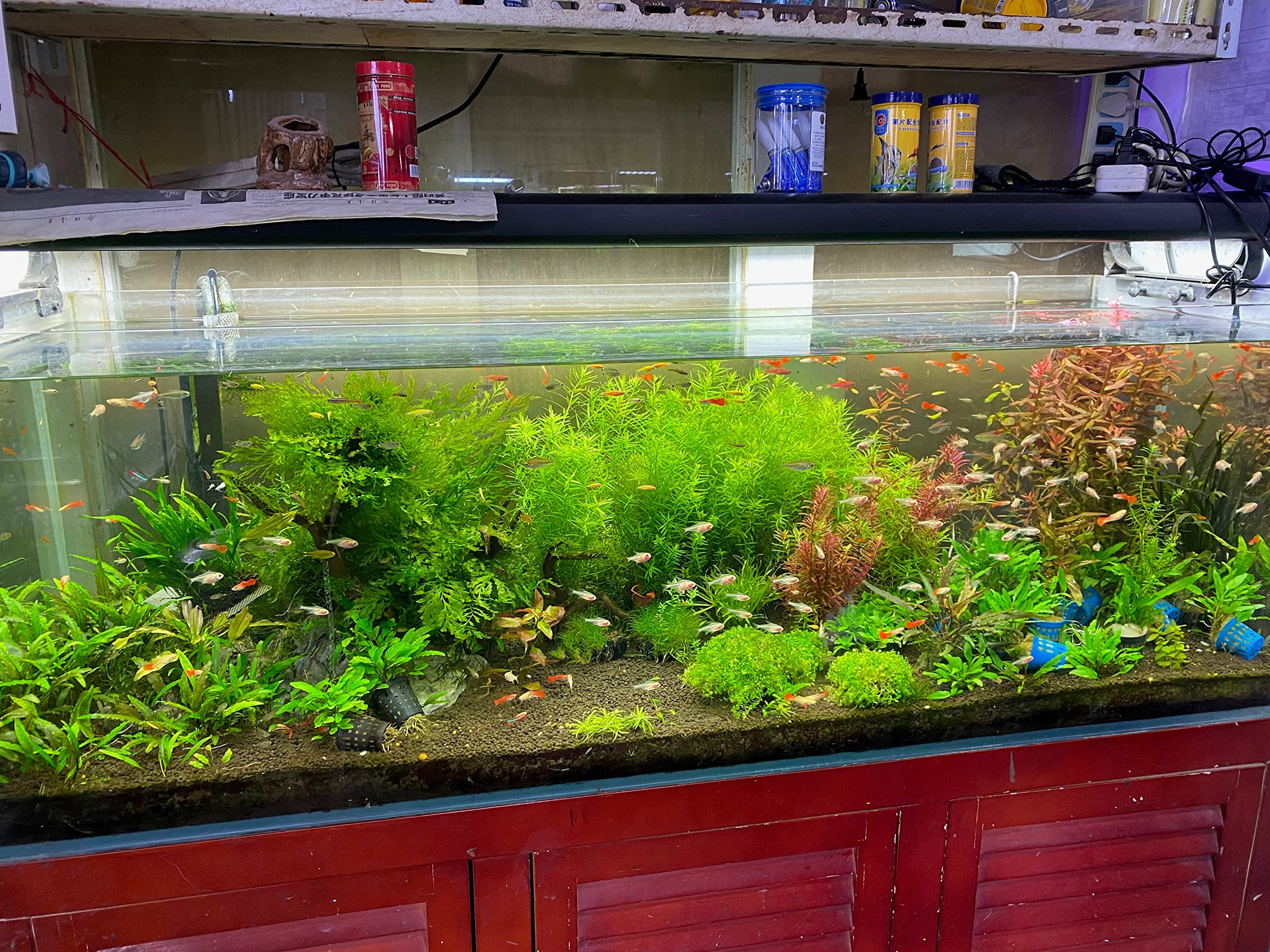 Premium Landen Aqua Soil Substrate for Planted Aquariums - Natural Clay Gravel for Freshwater Tanks, Shrimp & Plant Stratum, Stable Porous Black Substrate (40lbs) - Ideal for Aquascaping, Live Plants & Shrimp Breeding Tanks